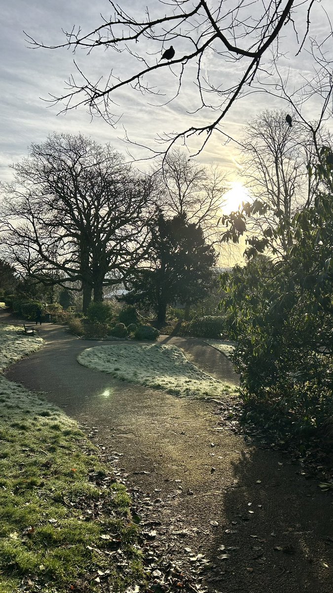 Lovely fresh morning in Grosvenor Park <a href="/ShitChester/">12 years of Shitchester</a>