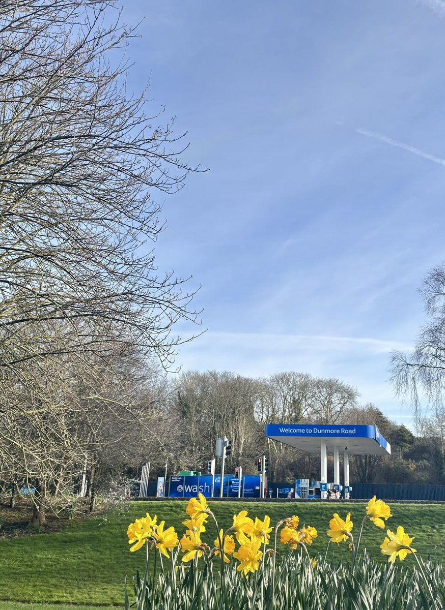 “We are not wholly bad or good
Who live our lives under Milk Wood,
And Thou, I know, wilt be the first
To see our best side, not our worst.”

(Dylan Thomas)

Dydd Gŵyl Dewi Sant (St. David’s Day), Port Láirge (Waterford), 1st of March, 2025