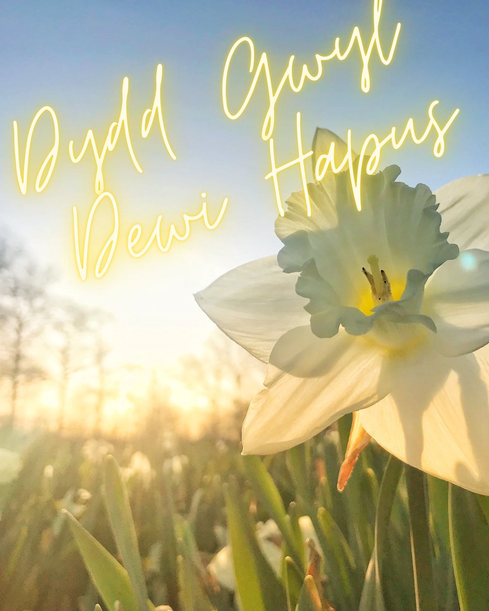 Hoci Cymru Dros 35 (@waleso35s) on Twitter photo 