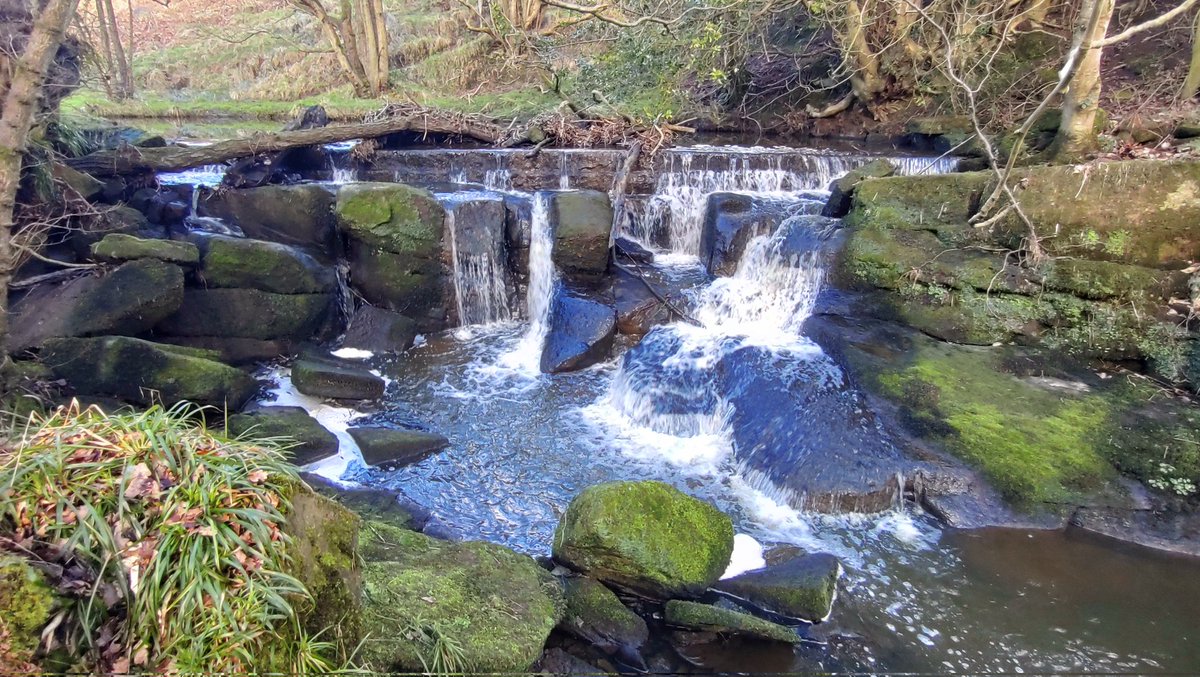 Jonathan Grey (@profjgrey) on Twitter photo Into the headwaters of Oak Beck on a cracking spring day for <a href="/WildTroutTrust/">The Wild Trout Trust</a> @YorkDalesRT and finally some better quality habitat. Not without issues, even up here, but great opportunities for improvement
#NiddActionGroup #fishpassage Into the headwaters of Oak Beck on a cracking spring day for <a href="/WildTroutTrust/">The Wild Trout Trust</a> @YorkDalesRT and finally some better quality habitat. Not without issues, even up here, but great opportunities for improvement
#NiddActionGroup #fishpassage