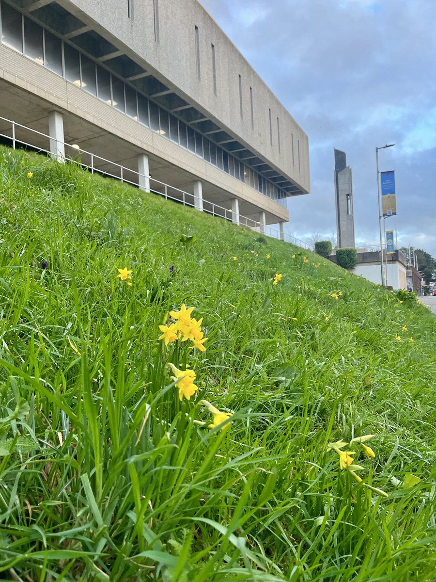 Dydd Gŵyl Dewi hapus iawn!☺️