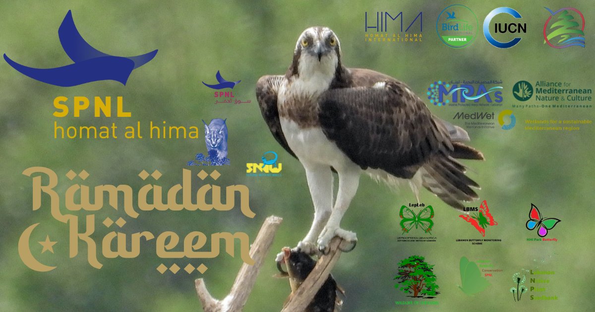 🌙✨ Ramadan Kareem from SPNL! ✨🌙
As we welcome this blessed month, may it bring peace, reflection, and renewal to all. Let’s embrace the spirit of giving and harmony—just as nature thrives with care, so do our communities. 🌿💙
#RamadanKareem #SPNL #Hima #RamadanMubarak