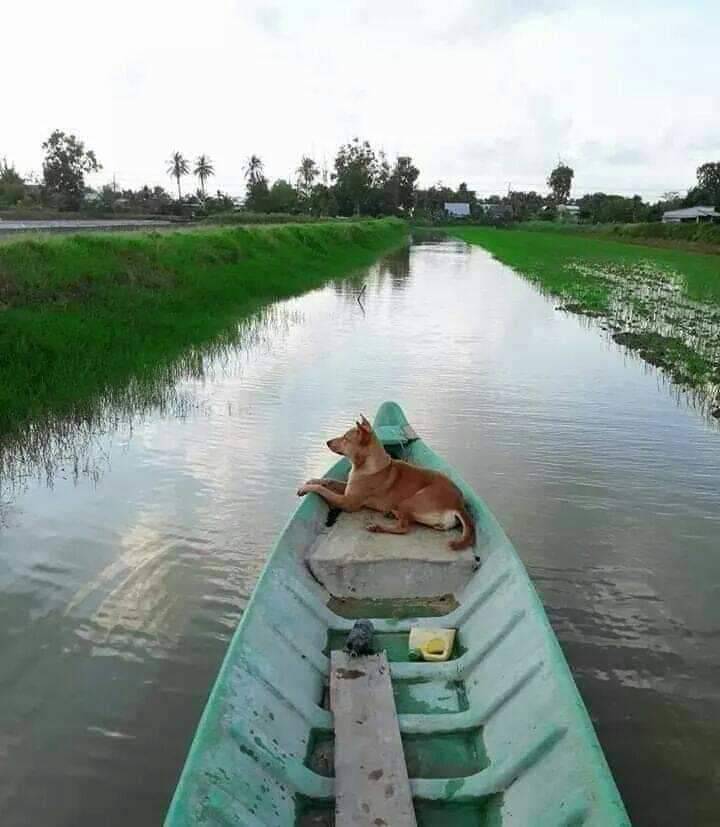 cuộc sống bình yên
