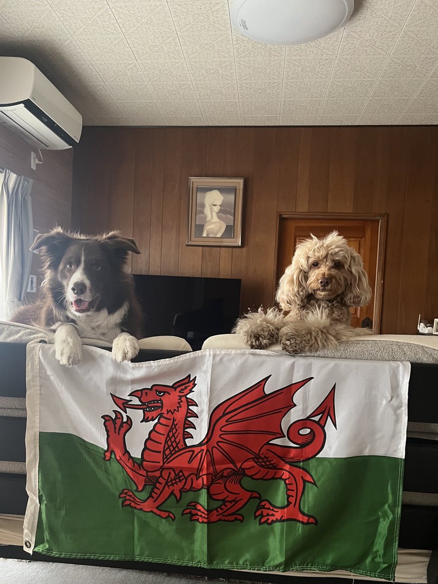 Dydd Gŵyl Dewi Hapus ! Happy St. David’s Day to all from Ibaraki Japan #StDavidsDay #yjb