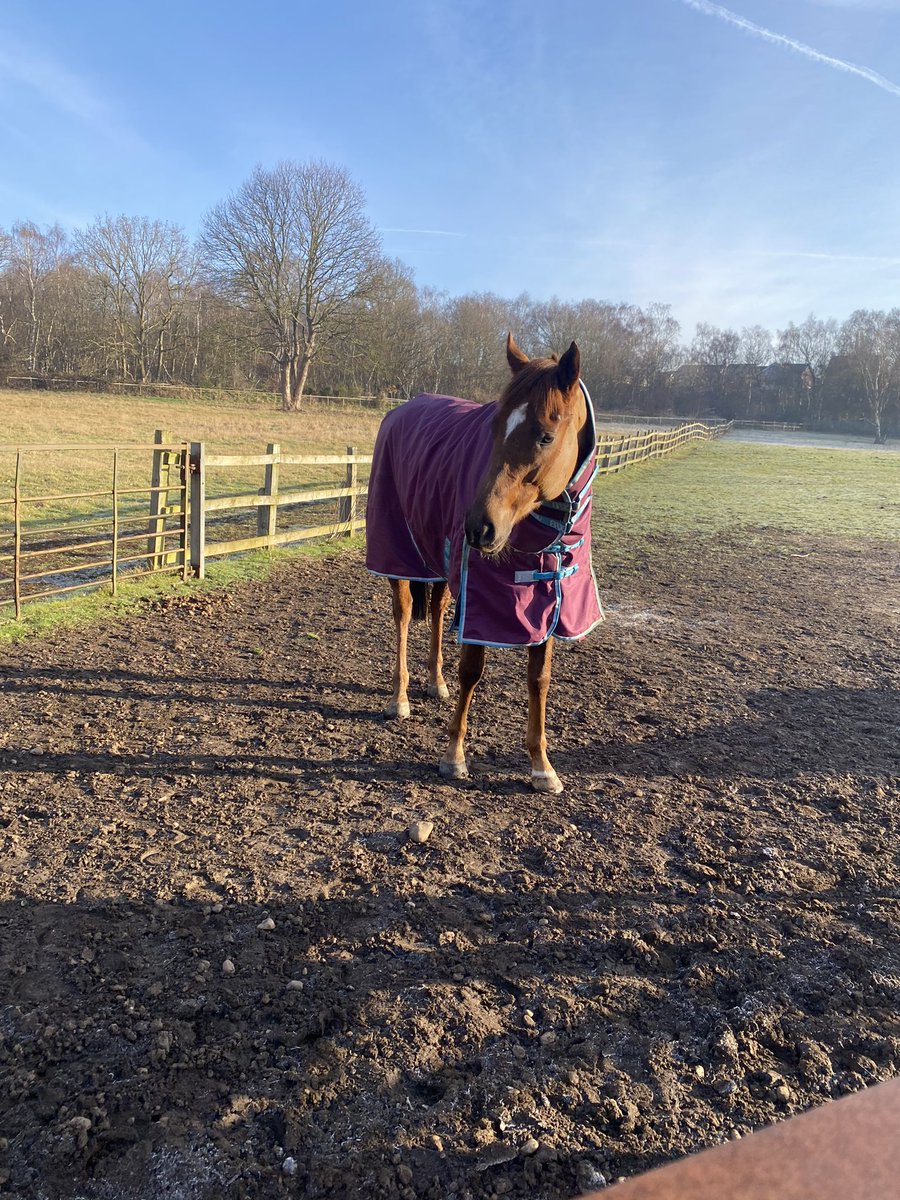 Jess White tweet media