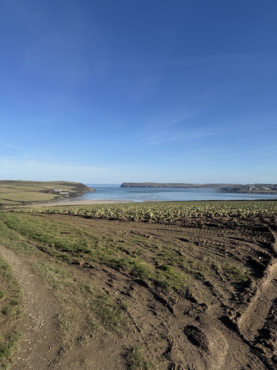 padstowharbour's tweet image. Another stunning morning looking out to sea#padstow#rivercamel#bestplace