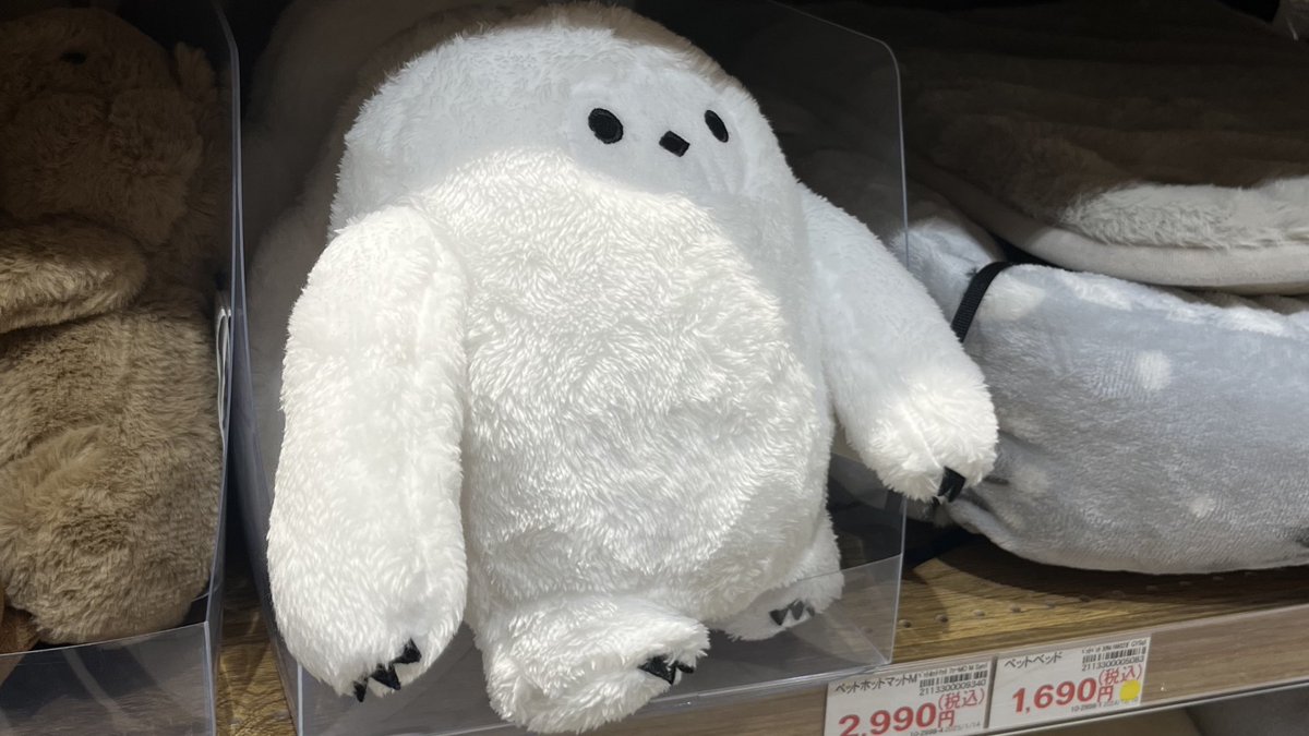 Quackson_123's tweet photo. ニトリにｴｯﾎｴｯﾎいた……… https://t.co/xwzNTtAKhf