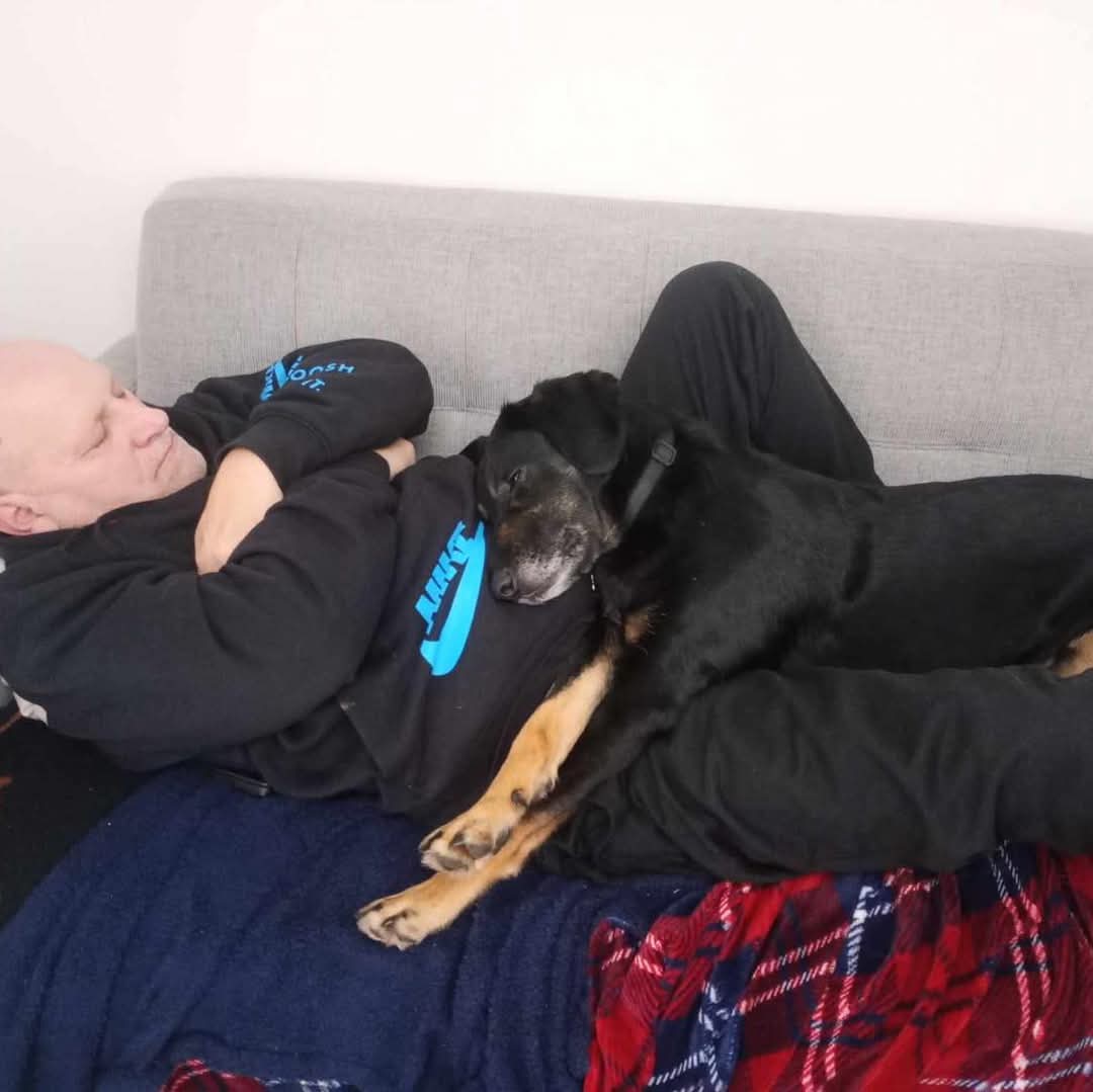 SavingStraysUK's tweet photo. Have a great Saturday everyone 🩵  #family #rescuedog #fyp #fypシ #coloursofnature #dogs #love https://t.co/neb670EHY4