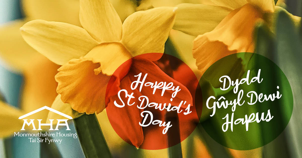 Dydd Gŵyl Dewi Hapus 💛 Happy St David's Day!

May your day be filled with daffodils, love, and laughter.

#StDavidsDay #Wales #Celebrate