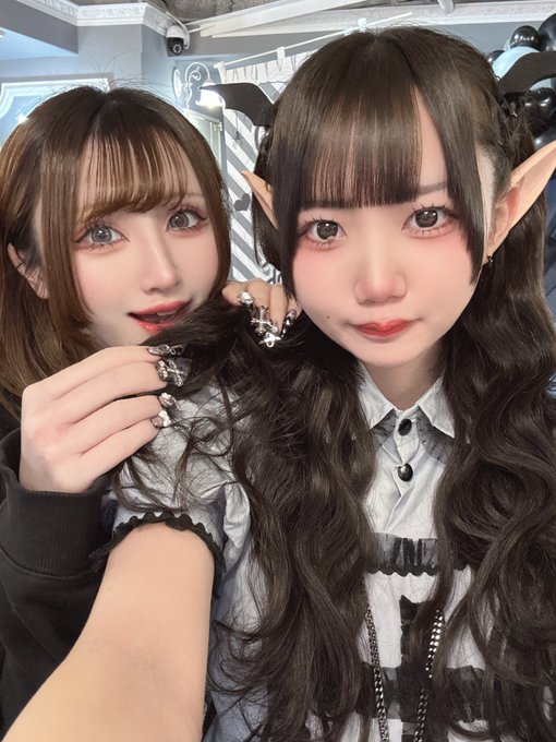 わんわんPRIMOのツイート