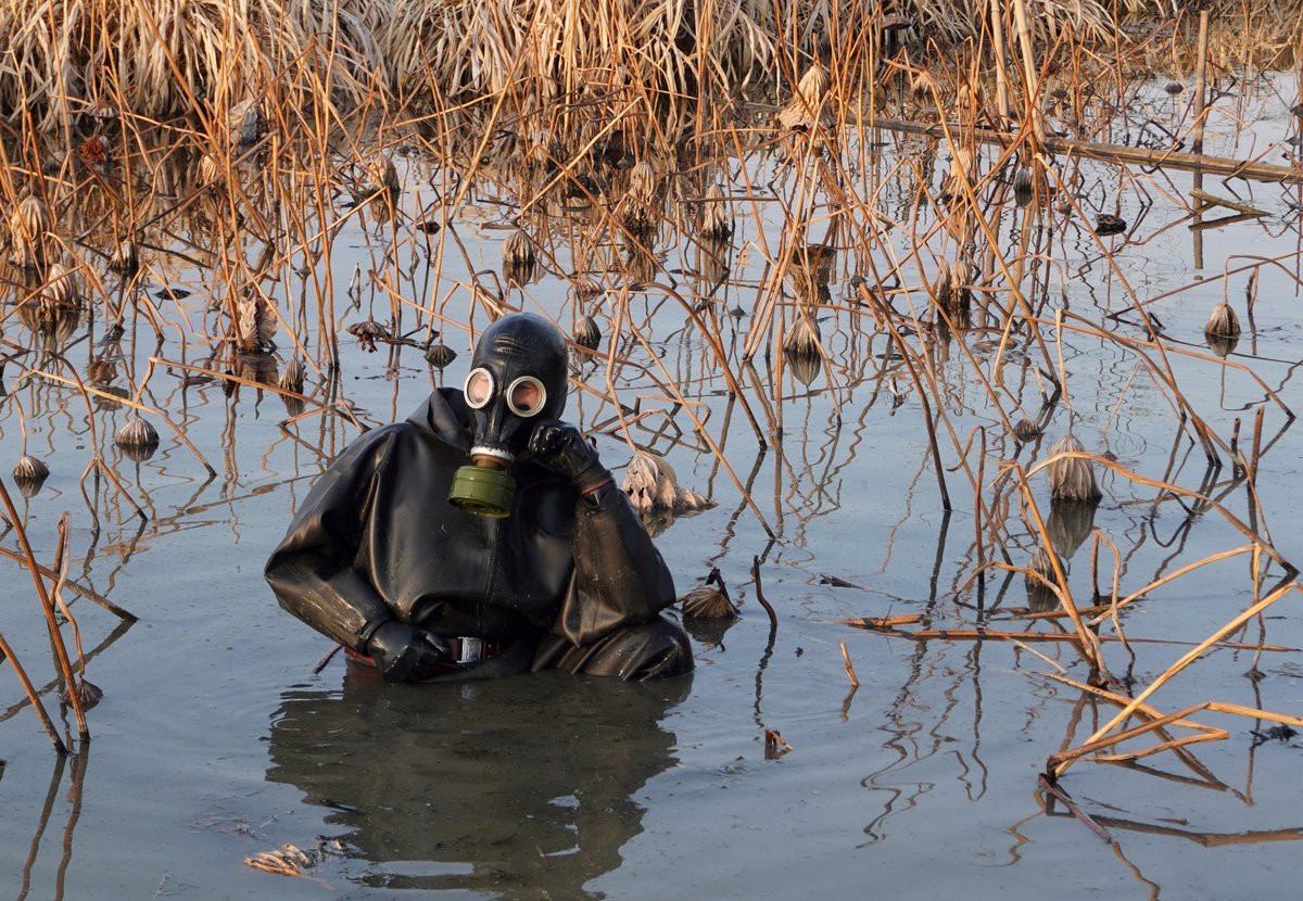 崃休 (@laixiu6) on Twitter photo 