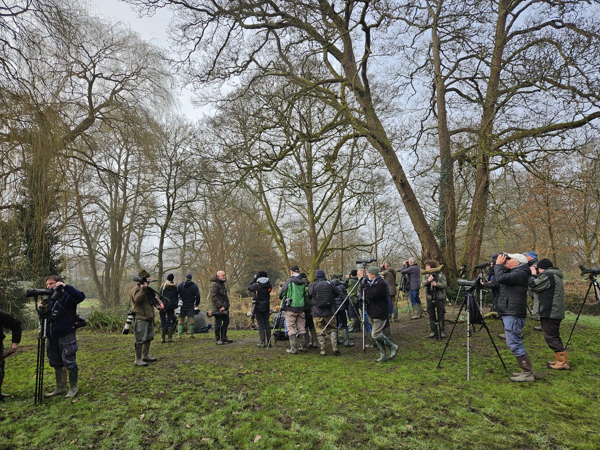 Very nice to catch up with the Black-throated Thrush in Bordon this morning, which showed unexpectedly well on and around the garden lawn - plus a decent selection of garden birds on the feeders including several Siskins.

<a href="/hantsbirdnews/">Hants Bird News</a>