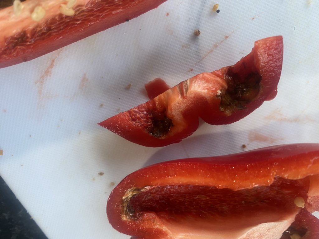 kevinrelf's tweet photo. @AldiUK fresh peppers? Disgusting. Just brought from your store in Aylesford.

Not even sure what this black stuff is?!

#food #aldi #pepper #foodhygiene #CustomerService #poor #health #fresh https://t.co/u7B2vvBL4f