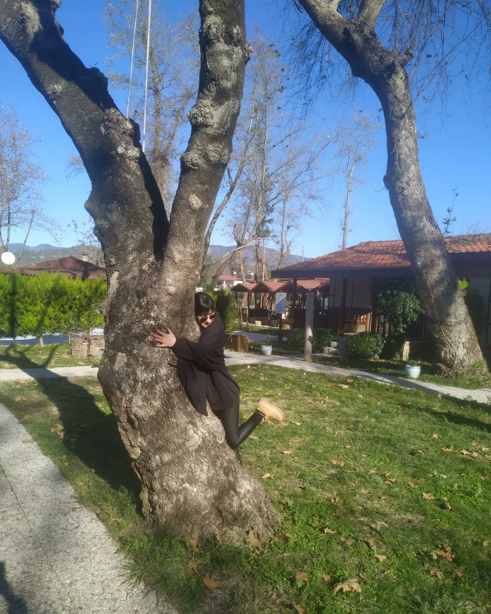 Arum Beadles tweet media