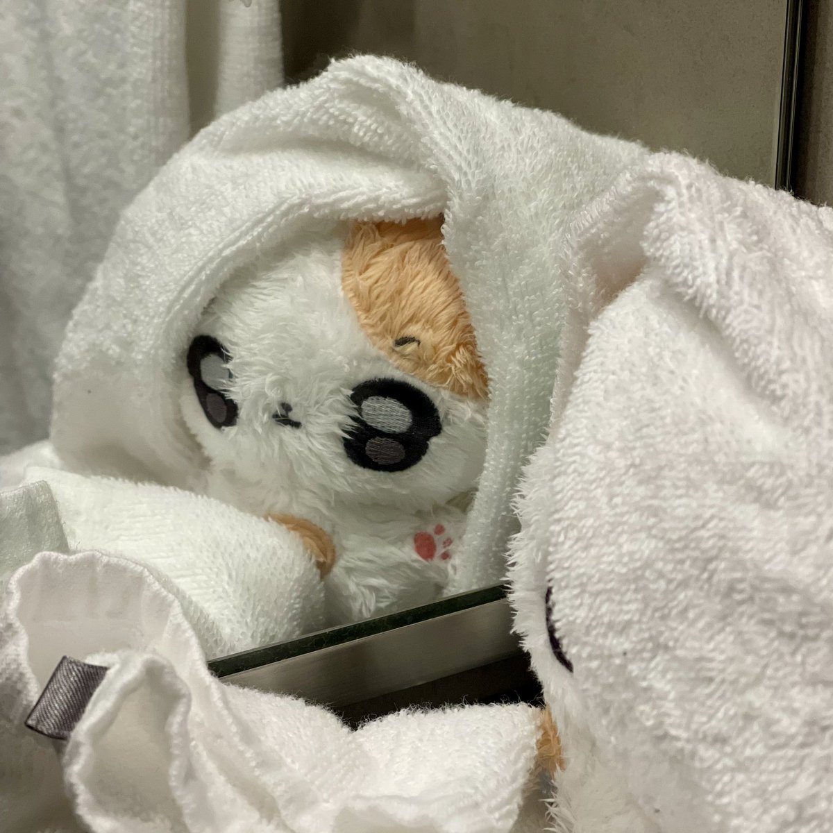 ㅂㄱㅅㅇ ~?! 👻

#행운이 #Heangwoonnie #แฮงอุนนี่