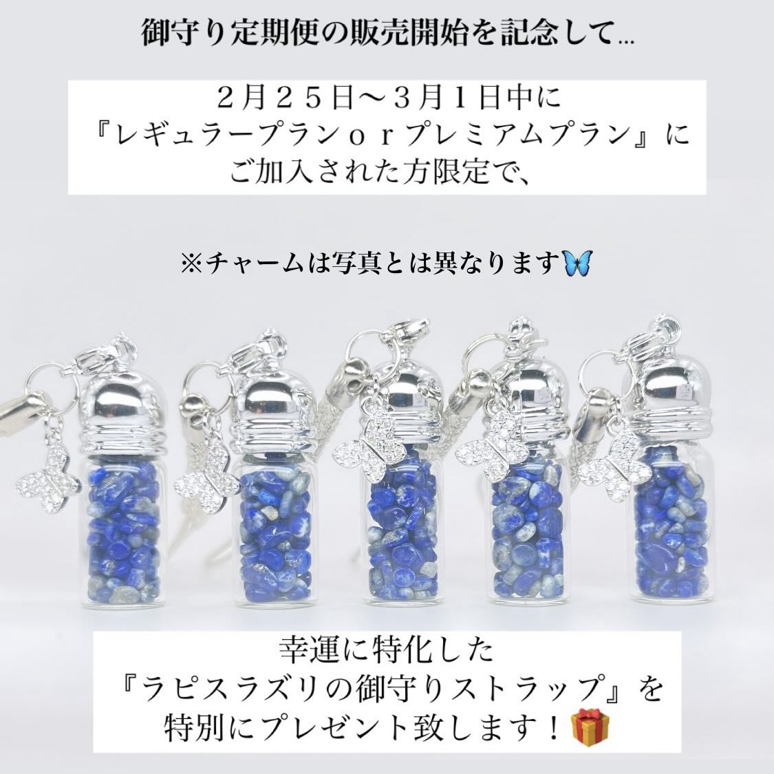 【プレミアムプラン】御守り×浄化スプレー定期便✳︎✳︎✳︎ プレミアムプラン】御守り×浄化スプレー定期便