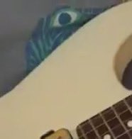 MAA (@maa_fdnn) / Posts / X