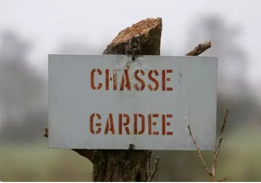 MichelFrancard's tweet photo. Les Wallons utilisent l’expression «Les braconniers font les meilleurs garde-chasses», à propos de personnes que leur passé ‒critiquable‒ a rendues très efficaces dans leurs nouvelles fonctions. Cet usage est-il partagé par d’autres francophones ?  Commentaires appréciés 🙏 https://t.co/C3EtHAS2yl