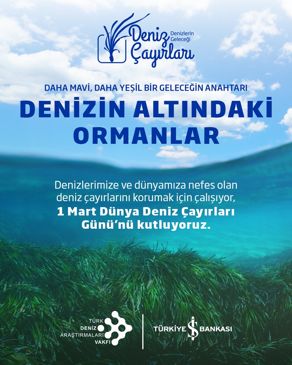 Sürdürülebilir bir gelecek için denizlerimizin ormanlarına, deniz çayırlarına sahip çıkıyoruz. Daha mavi, daha yeşil, yeryüzündeki tüm canlılar için daha sağlıklı bir gelecek hayaliyle…  1 Mart Dünya Deniz Çayırları Günü kutlu olsun!