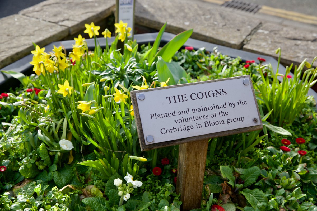 Visit Corbridge tweet media