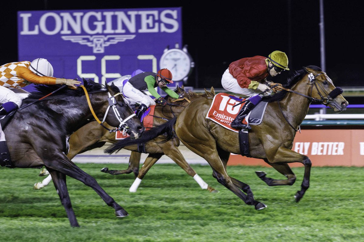 MiddleEastRace's tweet photo. West Acre 🔥

@GScottracing x @CallumSheppy https://t.co/dRDPe1UXJU