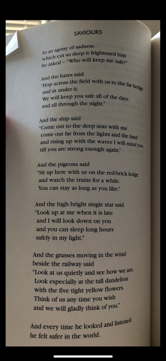 David O'Brien tweet media