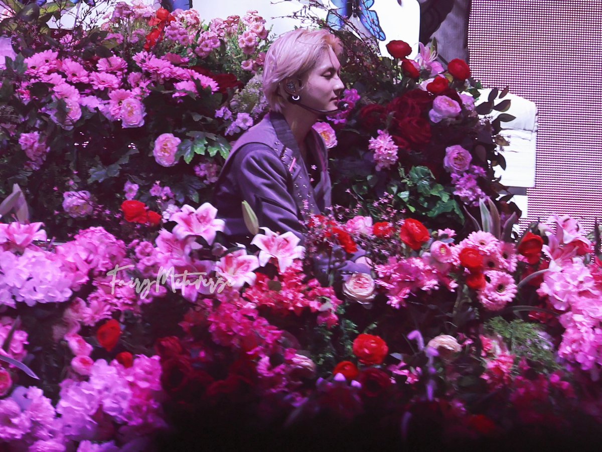 20250301 
WALK THE LINE IN BULACAN 
🌹🌼🌸

#정원 #JUNGWON #ジョンウォン 
#엔하이픈 #ENHYPEN