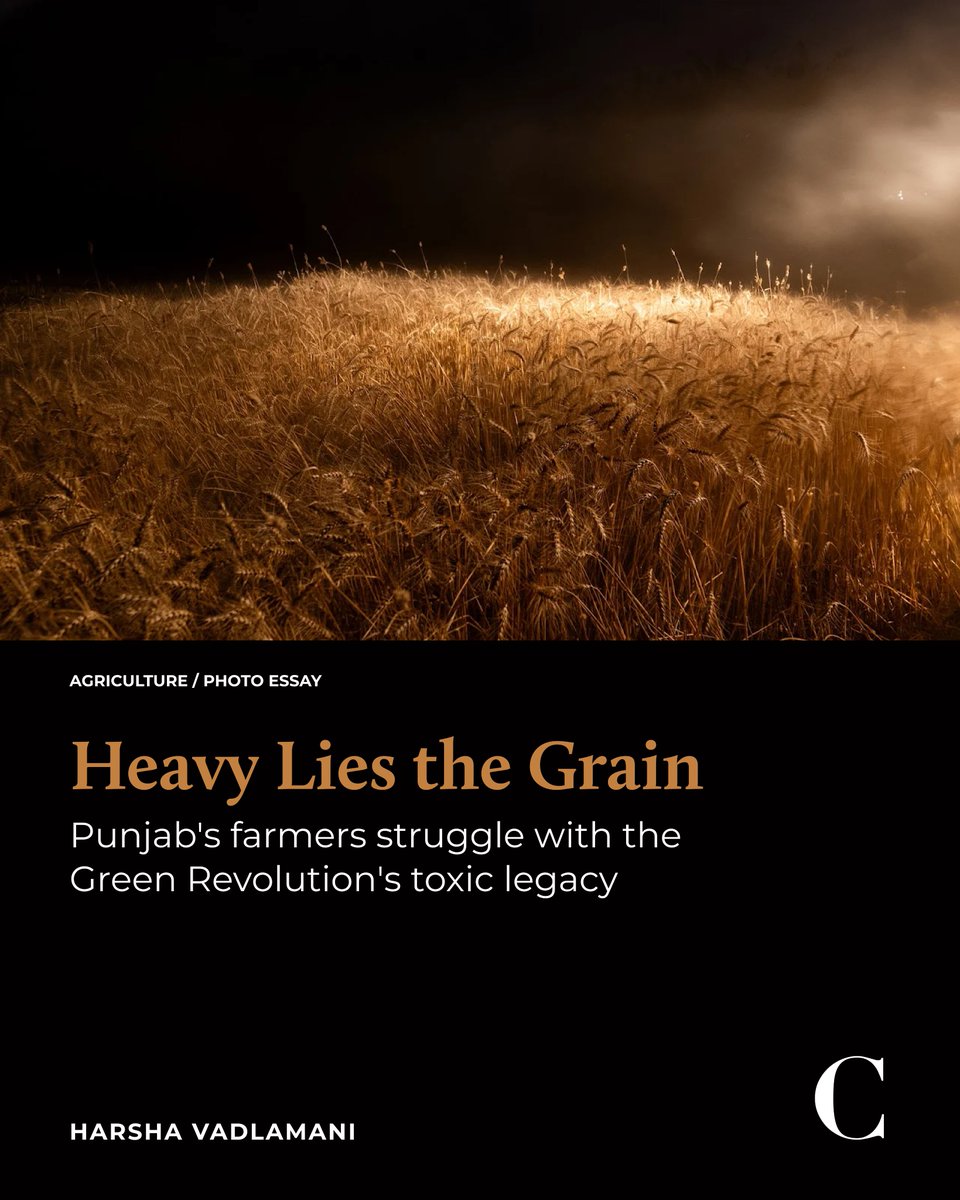 Punjab's farmers struggle with the Green Revolution's toxic legacy

Read <a href="/Hrsha/">Harsha Vadlamani</a>'s photo essay:
caravanmagazine.in/agriculture/wh…