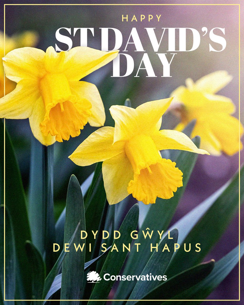 Happy St David's Day! 🏴󠁧󠁢󠁷󠁬󠁳󠁿🇬🇧

Dydd gŵyl dewi hapus 🏴󠁧󠁢󠁷󠁬󠁳󠁿🇬🇧