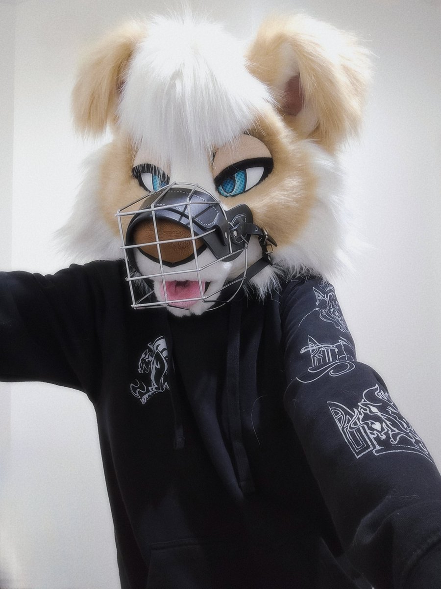 b e c k ⛅️ tweet media