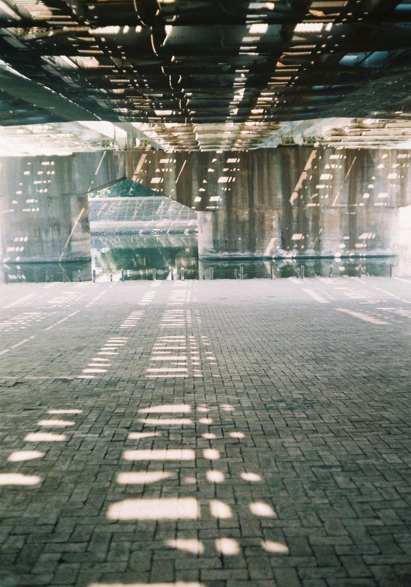 sho_display's tweet photo. 🎞️ FUJIFILM FUJICOLOR 100
📸 Canon P
#フィルムさんぽ
#第127回フィルムさんぽ
#カメスズ https://t.co/ekOYvaXWj1