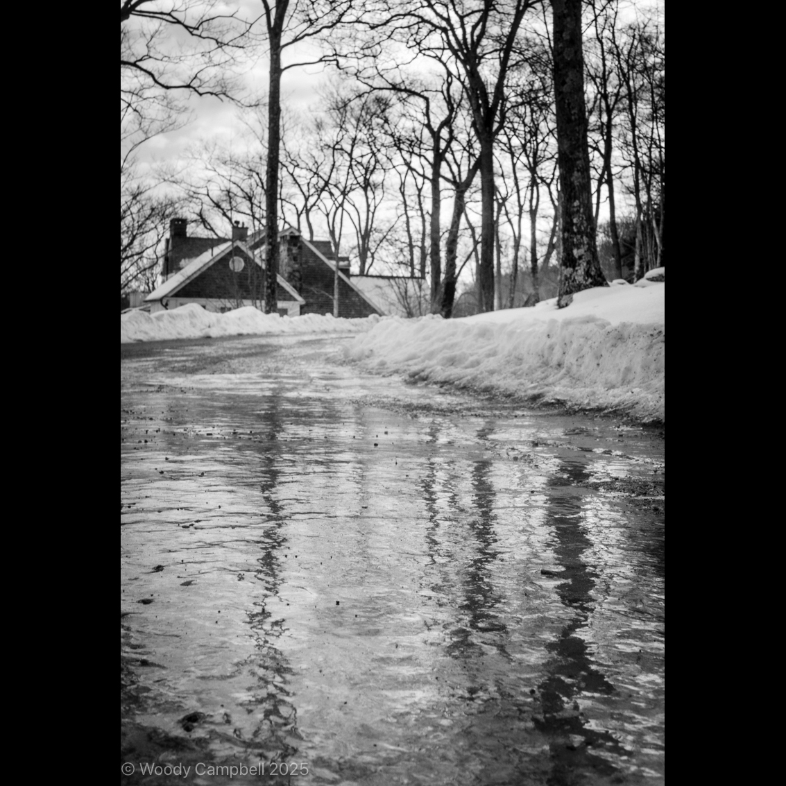 Woody_Campbell's tweet image. A polar vortex turns our road into a trecherous mirror.
Now. Warren, Connecticut.
Day 5603 of one photograph every day for the rest of my life.

#WarrenCT #winterreflections #polarvortex #monochromephotography #fineartphotography #ConnecticutWinter #NewEnglandPhotography