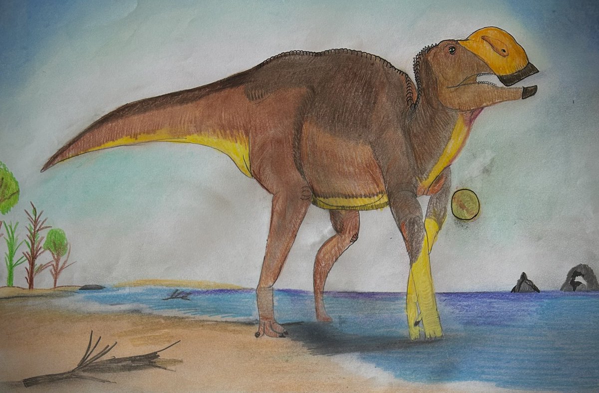 Sin_kyouryu_Esi's tweet photo. 今日のお絵描き
海岸に立つ　#ハドロサウルス　
人類が二本足でも歩けた恐竜がいたということを知るきっかけになった恐竜です！
頭が全容がわかるほど出てないから分からないけど、典型的なハドロサウルスの仲間というとこんな感じかな？と考えて描いたつもりです
（出演恐竜）
#Hadrosaurus https://t.co/P0HV4OCVcn