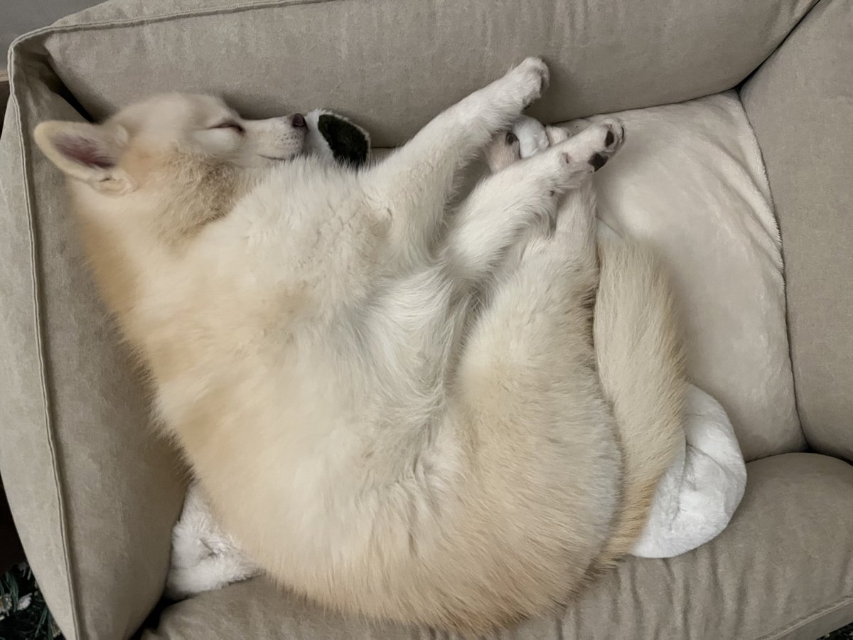 이번 겨울도 시원하고 포근하게 잘 보냈지요
