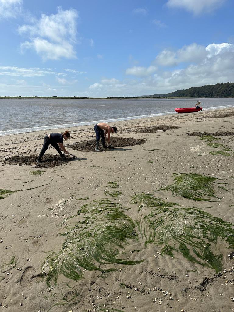 Happy St.David’s Day! 🏴󠁧󠁢󠁷󠁬󠁳󠁿 
Today, we celebrate the rich heritage and beauty of Wales’ stunning coastline. Iechyd da! To its incredible harvest, from our fresh succulent, sweet cockles to our flavourful, vitamin rich Laverbread, that nourishes us and connects us to the sea. 🌊