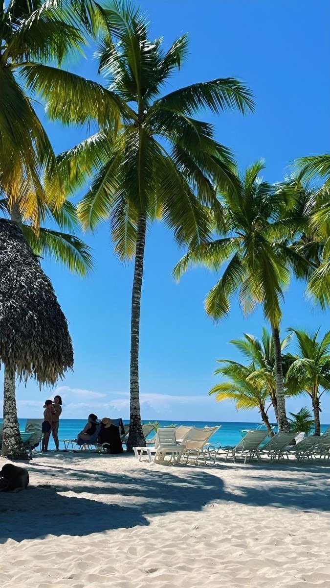 RXtZNdeTf2brS34's tweet image. ＃好きな曲を貼って寝る
＃Azymuth

そろそろ暑い夏が恋しいや😅🏝🍺

おやすみなさいませ😴💤

Azymuth - Fly Over The Horizon
🎧 youtu.be/vGvDMEruces?si…