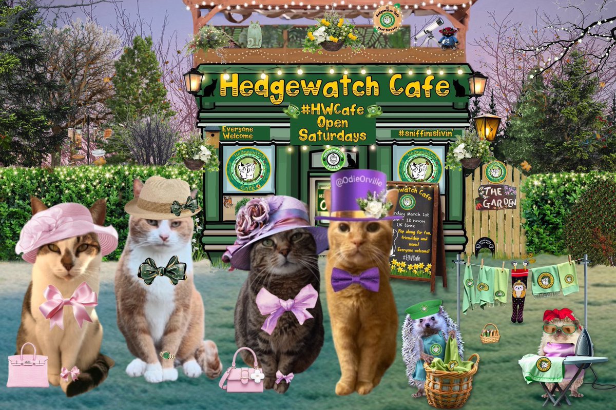 Phoebe Cat (@phoebe_the_catt) on Twitter photo #hwcafe thank you for today!! <a href="/Hedgewatchers/">Hedgewatch</a> and all my friends <a href="/tiggy_deni35304/">Tiggy & Denise(Mum)</a> and special shoutout to <a href="/starbuckssue/">๐Tia ๐งกPhoebe ๐โค๏ธAngel Plum ๐๐Angel Boo โ
๏ธ๐โ
๏ธ</a> for the amazing outfit ๐๐๐๐พ apologies for not too much posting as mum as grocery shopping ๐น have a great day #hwcafe thank you for today!! <a href="/Hedgewatchers/">Hedgewatch</a> and all my friends <a href="/tiggy_deni35304/">Tiggy & Denise(Mum)</a> and special shoutout to <a href="/starbuckssue/">๐Tia ๐งกPhoebe ๐โค๏ธAngel Plum ๐๐Angel Boo โ
๏ธ๐โ
๏ธ</a> for the amazing outfit ๐๐๐๐พ apologies for not too much posting as mum as grocery shopping ๐น have a great day