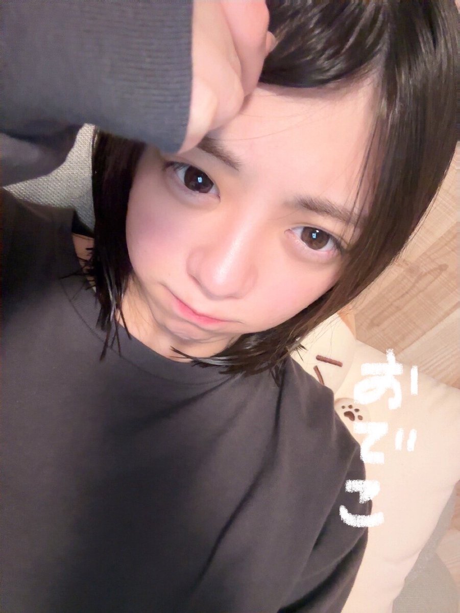 乃木坂46 tweet media