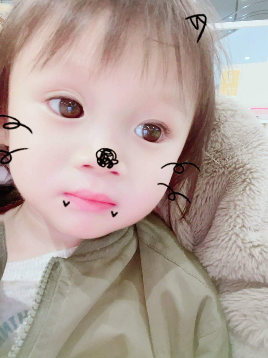 きゃんちゃん🦋， tweet media