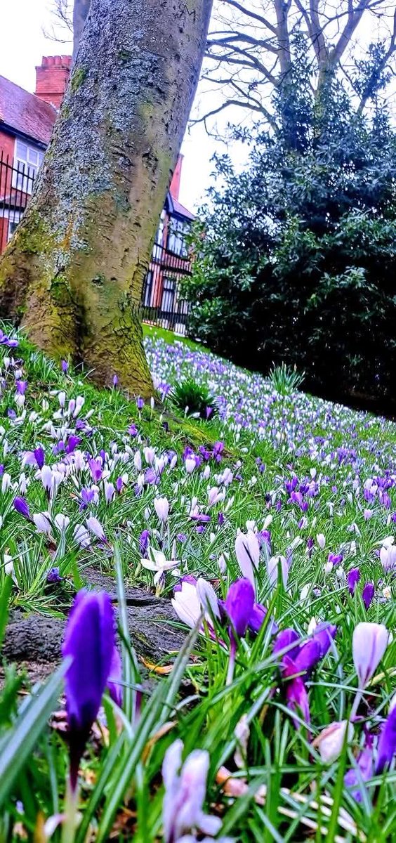 Mark Whiteley Music tweet media