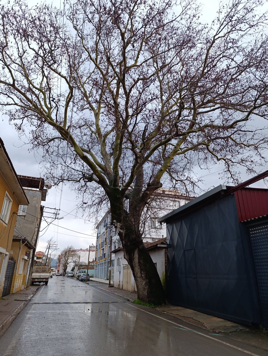 İnsanın dışı' bahar olsa' neye yarar.. 
İçi ' çiçek açmıyorsa"..