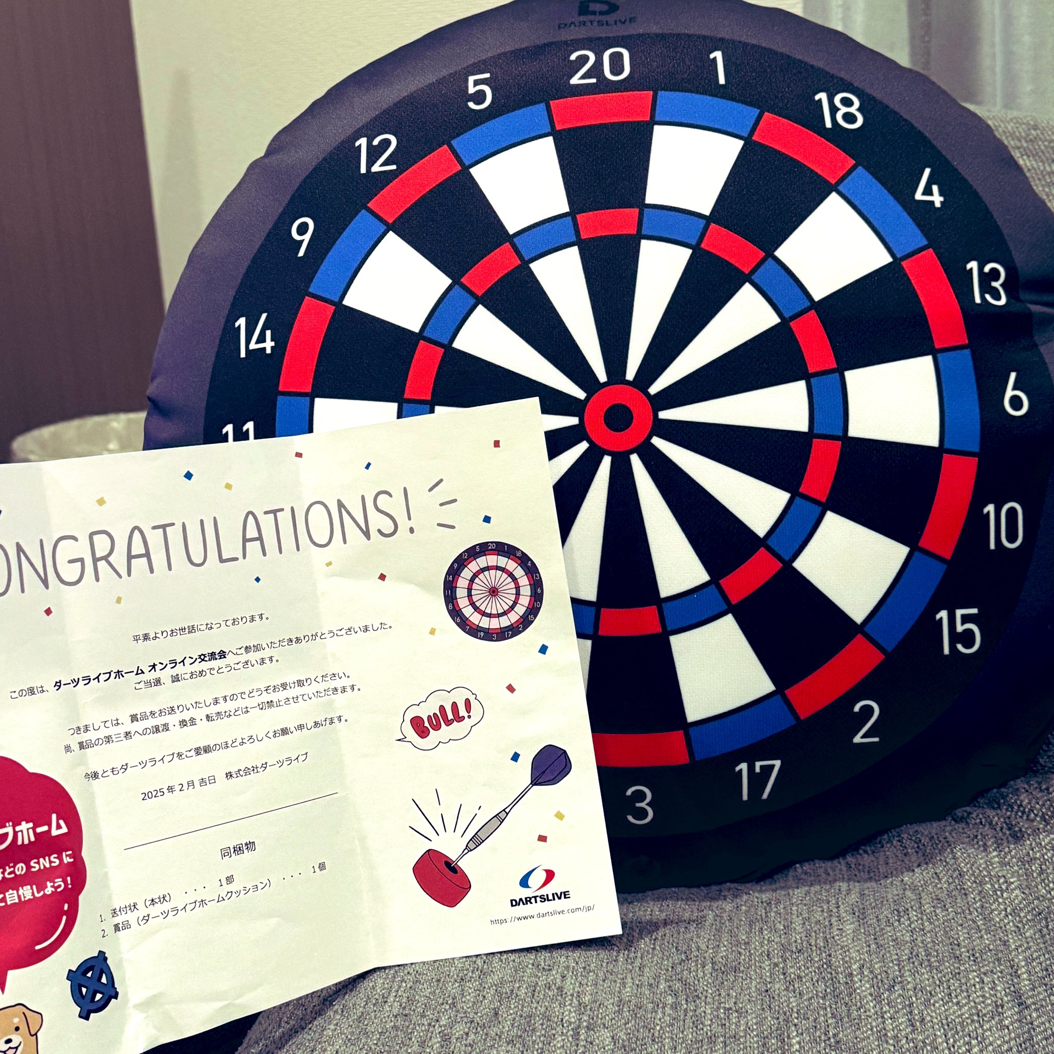 DARTSLIVE Home ダーツライブホーム (ダーツボード ダーツ DARTSLIVE Home ダーツライブホーム (ダーツボード ダーツ