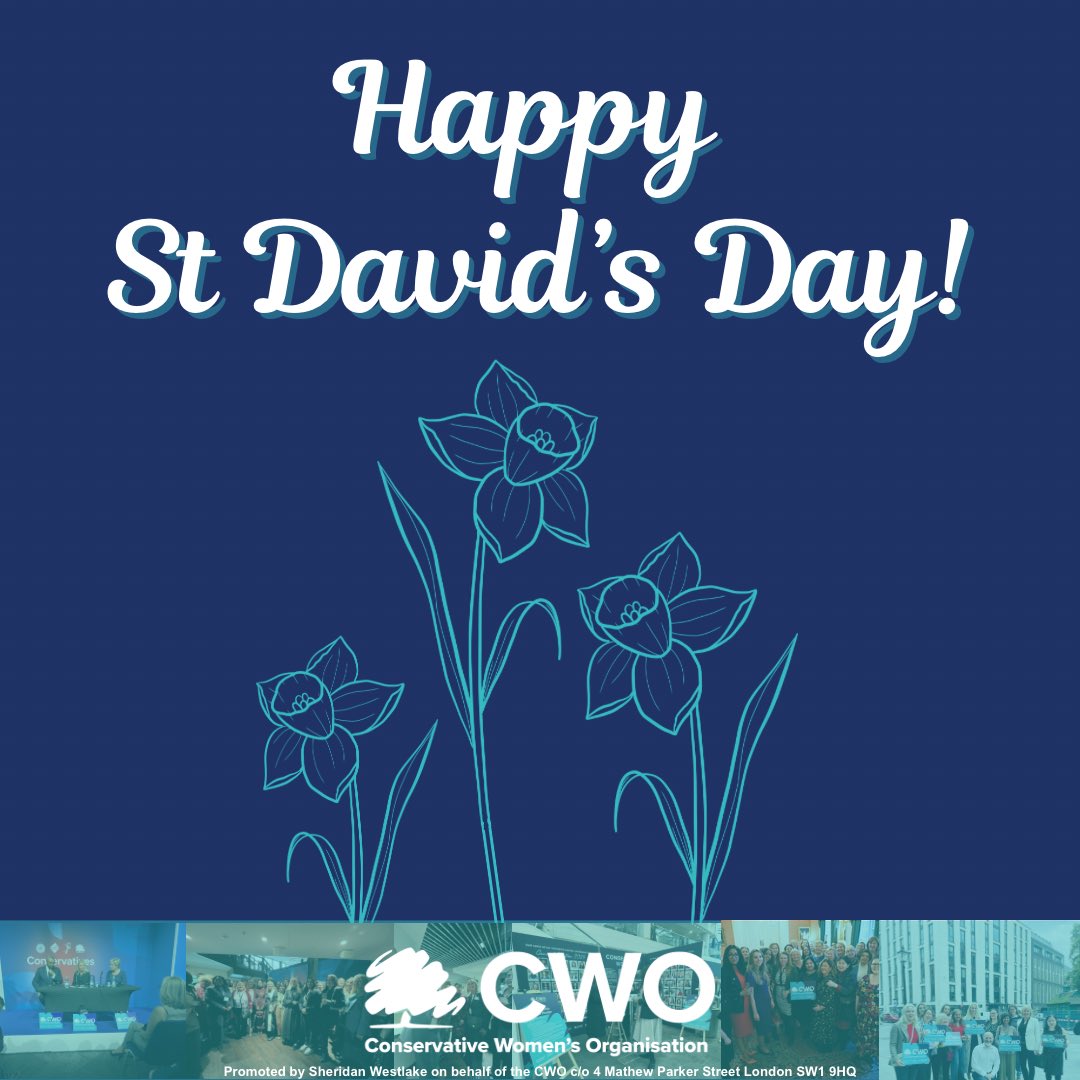 Happy St David’s Day from CWO! 🏴󠁧󠁢󠁷󠁬󠁳󠁿🌼