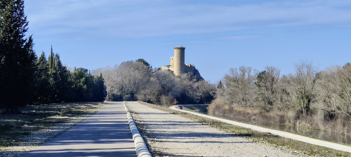 Dave Roe tweet media