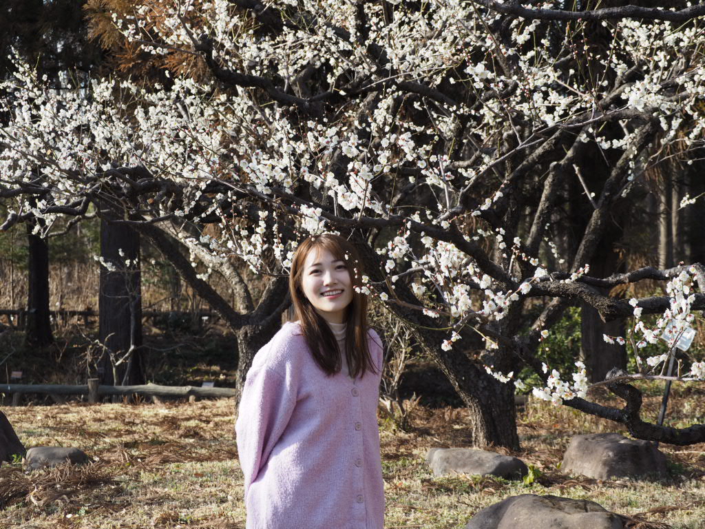 kmtcrz's tweet image. 今日の現場 1⃣ 
梅ポートレート会@神代植物公園
モデル あさみ(@asa_inu_mi)さん

天気も良くて暖かくて
梅の香りを感じながら一緒に公園歩いて
たんぽぽ見つけて「春だね」なんて話して
これを幸せと言わないで何を幸せというのだろう
…という休日でした🐶🌼

#あさみとはんぶんこ