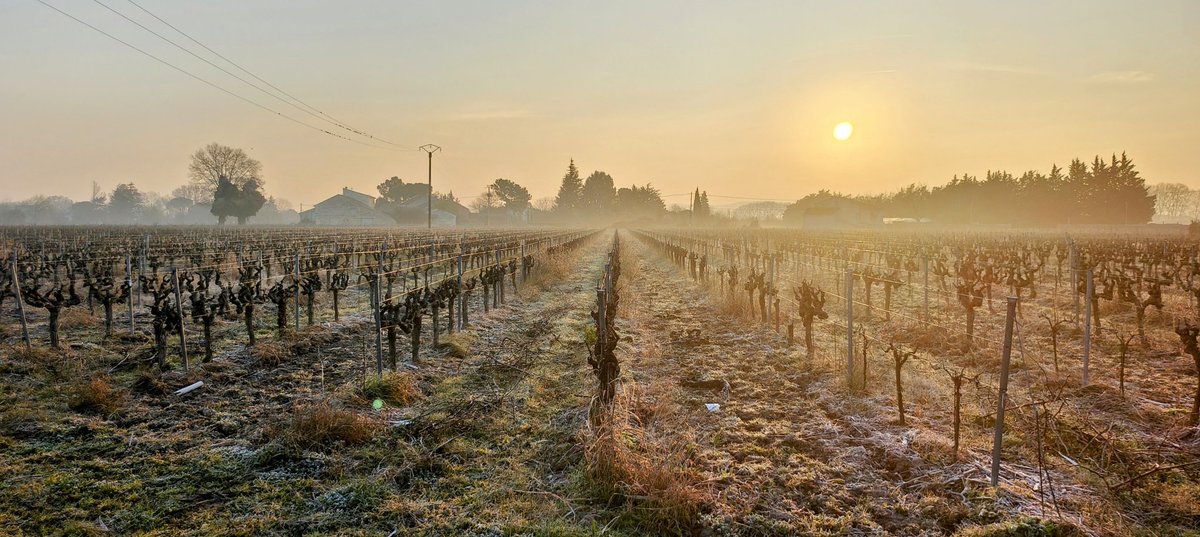 Dave Roe tweet media