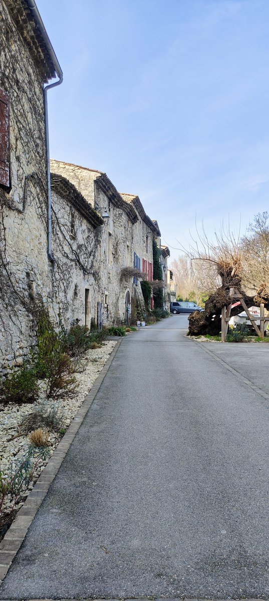 Dave Roe tweet media