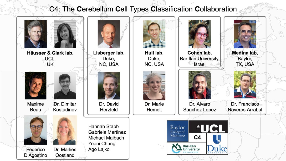 Neural Computation Lab tweet media