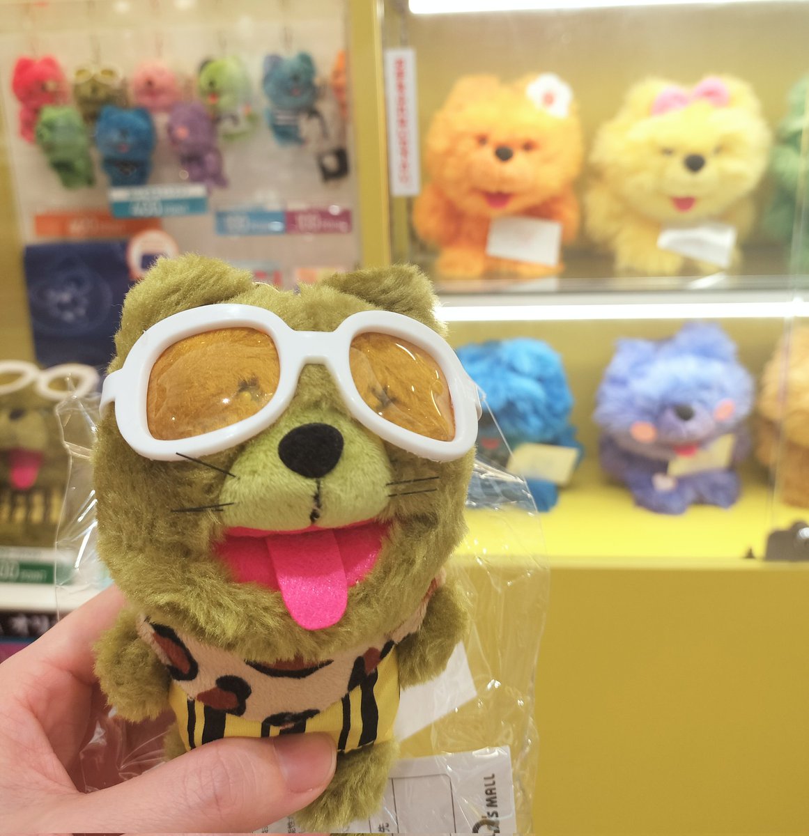 LemonNeco's tweet photo. りきぴカードを手に入れ、ついでにねこちゃんのぬいも当たった💚😊わ〜い https://t.co/TJQz733G4X