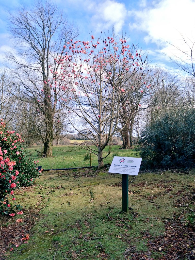 mtRyle 💙 tweet media